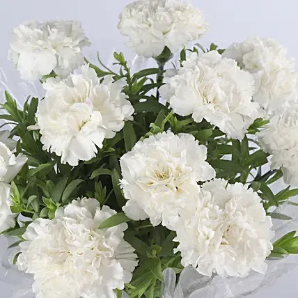 White Carnation