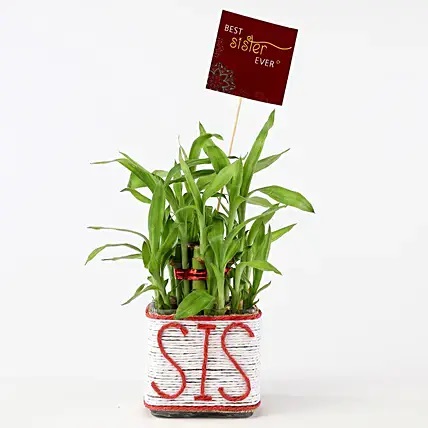 2 Layer Bamboo In Sis Glass Vase