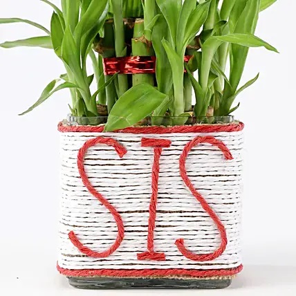 2 Layer Bamboo In Sis Glass Vase