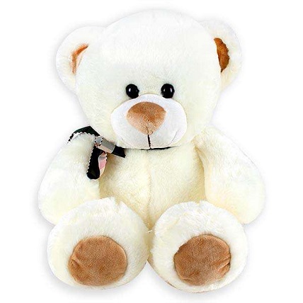 Soft Furry Teddy