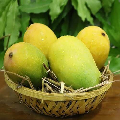 5 Kg Mango With Basket