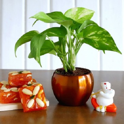 Ganesha Idol And Money Plant With Karachi Halwa