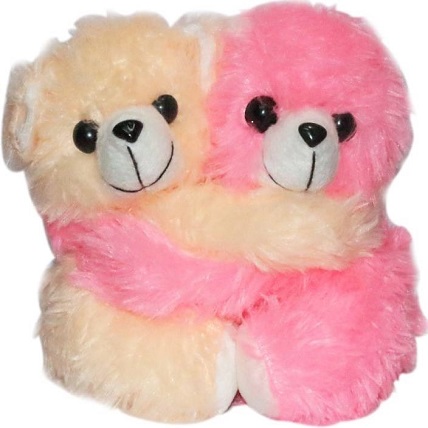 Hug Teddy Bear