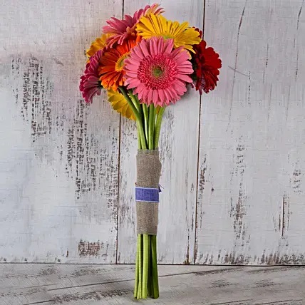 Lovely Gerberas Bunch