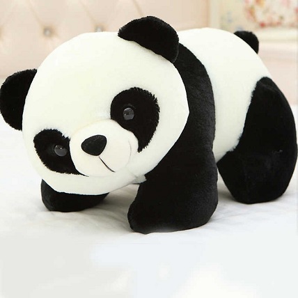 Panda Cute Soft