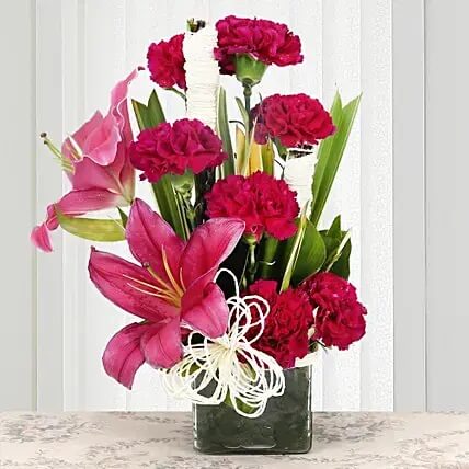 Serene Carnation