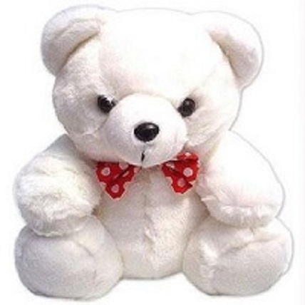 Teddy Bear In 12 Inch