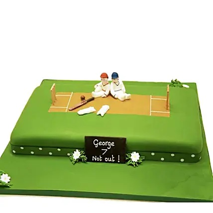 Vanilla Cake For Cricket Lovers