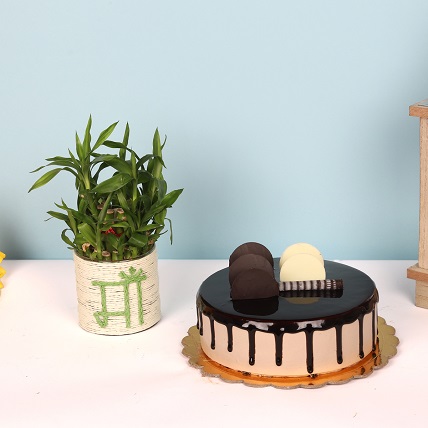 Cake And Lucky Bamboo In A Mug