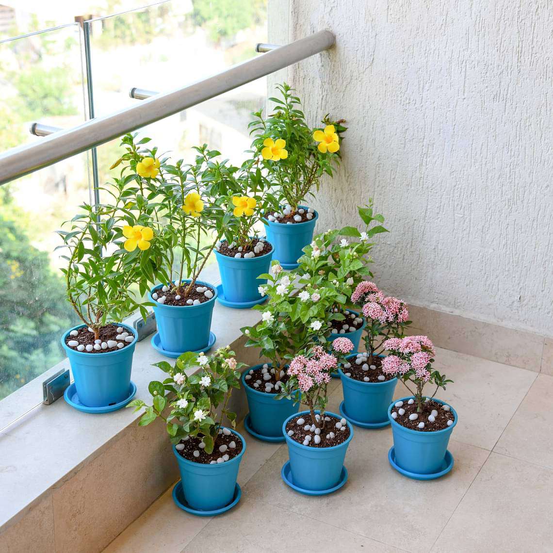 Order Beautiful Flower Garden In A Balcony, Buy and Send Beautiful ...